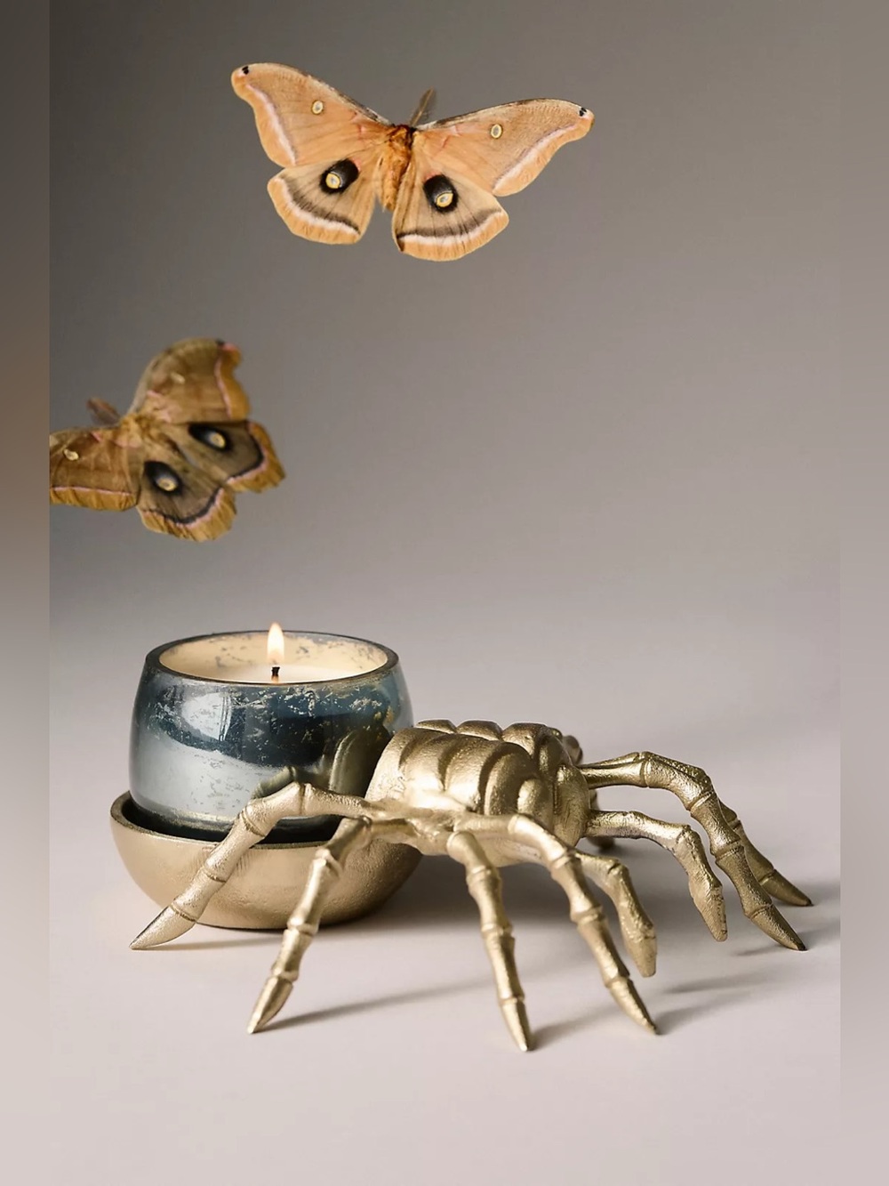 Anthropologie Catherine Martin Midnight Creatures Spider candle holder bowl